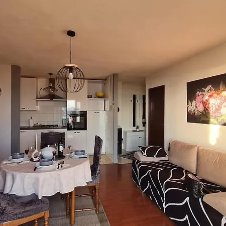 Durdica Apartment *